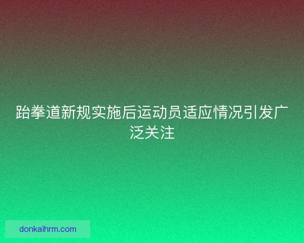 跆拳道新规实施后运动员适应情况引发广泛关注
